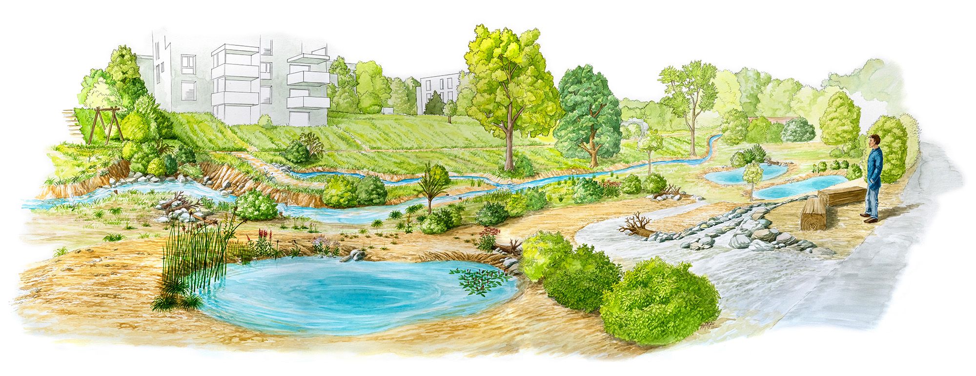 Zeichnung der Zukunftsvision mit viel Grün, Wasser und Fusswegen